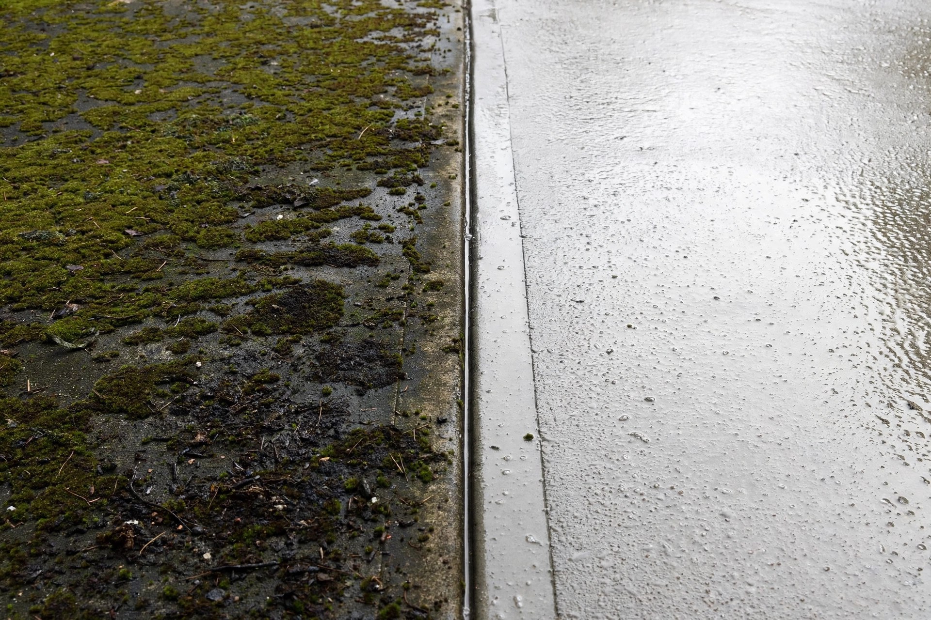 Dirty concrete driveway slab with green moss next to a freshly pressure washed clean section